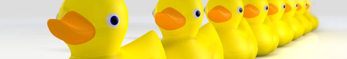 ducks